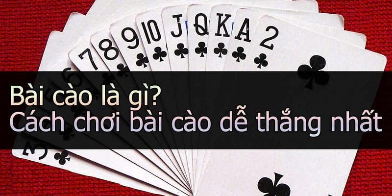 Bài cào dừa 789P với thông tin tổng quát nhất